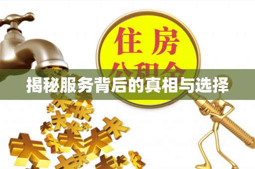 临漳揭秘服务背后的真相与选择