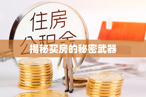 临漳揭秘买房的秘密武器