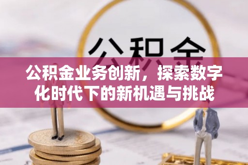 临漳公积金业务创新，探索数字化时代下的新机遇与挑战