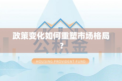 临漳政策变化如何重塑市场格局？