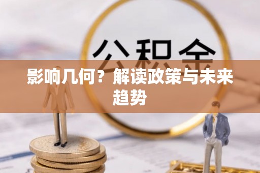 临漳影响几何？解读政策与未来趋势