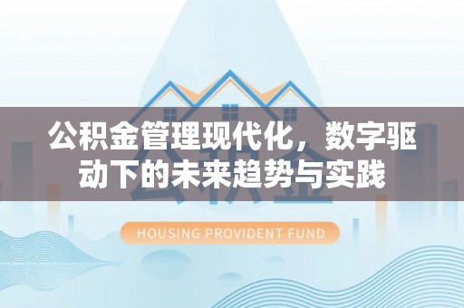 临漳公积金管理现代化，数字驱动下的未来趋势与实践