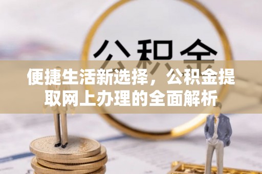 临漳便捷生活新选择，公积金提取网上办理的全面解析