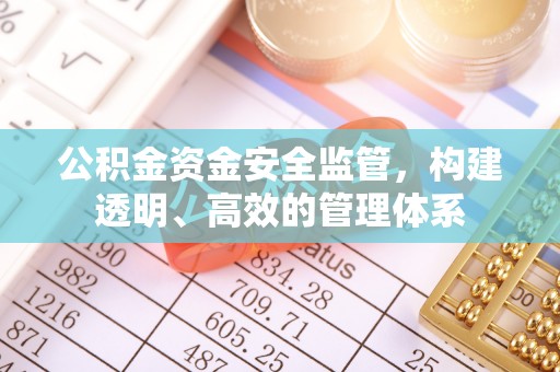 临漳公积金资金安全监管，构建透明、高效的管理体系