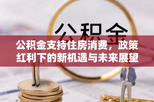 临漳公积金支持住房消费，政策红利下的新机遇与未来展望