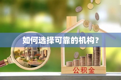 临漳如何选择可靠的机构？