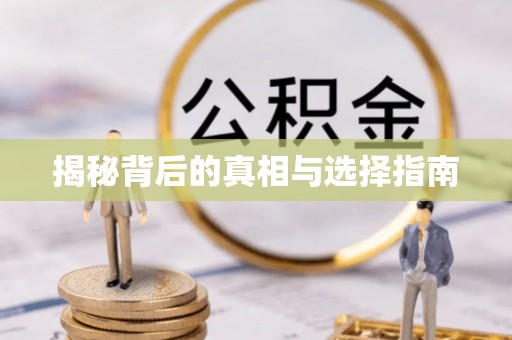 临漳揭秘背后的真相与选择指南