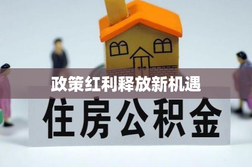 临漳政策红利释放新机遇