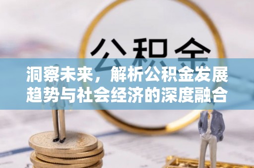 临漳洞察未来，解析公积金发展趋势与社会经济的深度融合