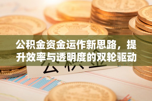临漳公积金资金运作新思路，提升效率与透明度的双轮驱动