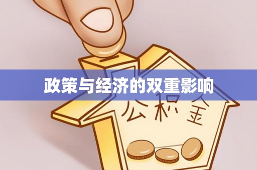 临漳政策与经济的双重影响