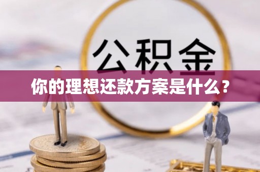 临漳你的理想还款方案是什么？