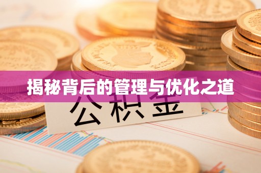 临漳揭秘背后的管理与优化之道