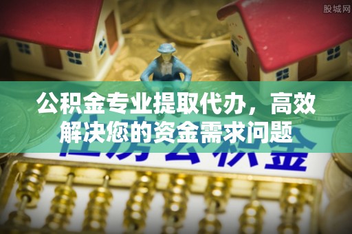 临漳公积金专业提取代办，高效解决您的资金需求问题
