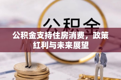 临漳公积金支持住房消费，政策红利与未来展望