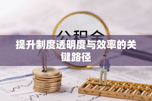 临漳提升制度透明度与效率的关键路径