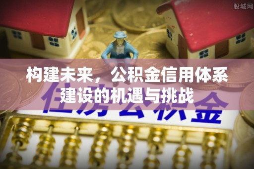 临漳构建未来，公积金信用体系建设的机遇与挑战