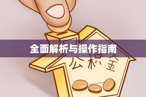临漳全面解析与操作指南