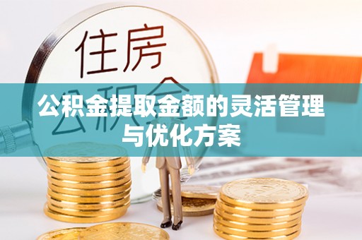 临漳公积金提取金额的灵活管理与优化方案