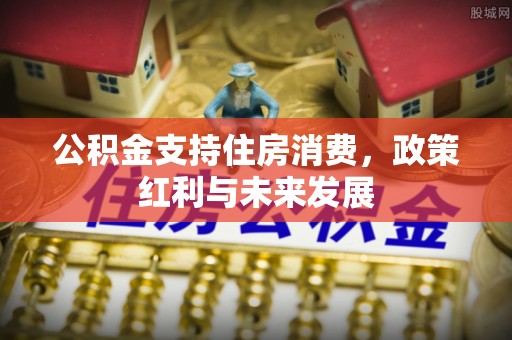 临漳公积金支持住房消费，政策红利与未来发展