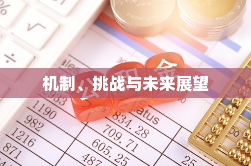 临漳机制、挑战与未来展望