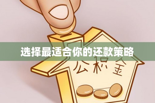 临漳选择最适合你的还款策略