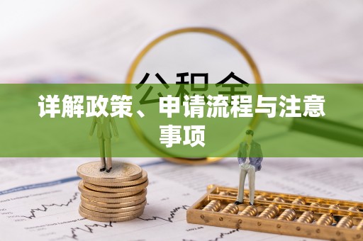 临漳详解政策、申请流程与注意事项