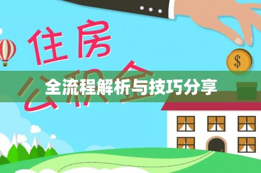 临漳全流程解析与技巧分享