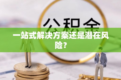 临漳一站式解决方案还是潜在风险？