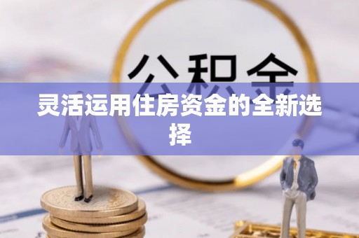 临漳灵活运用住房资金的全新选择
