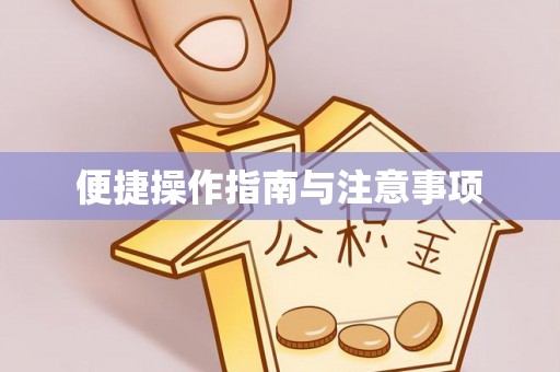 临漳便捷操作指南与注意事项